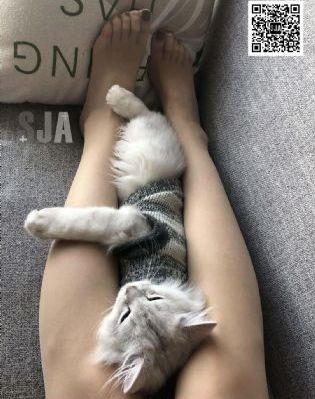 机械手臂动漫在线观看