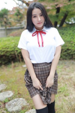 大陆理论片