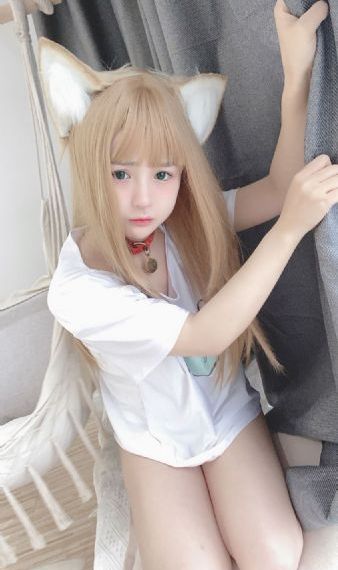 文豪野犬第四季